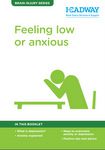 feeling low or anxious booklet cover