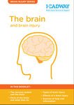 Brain and brain injury booklet cover