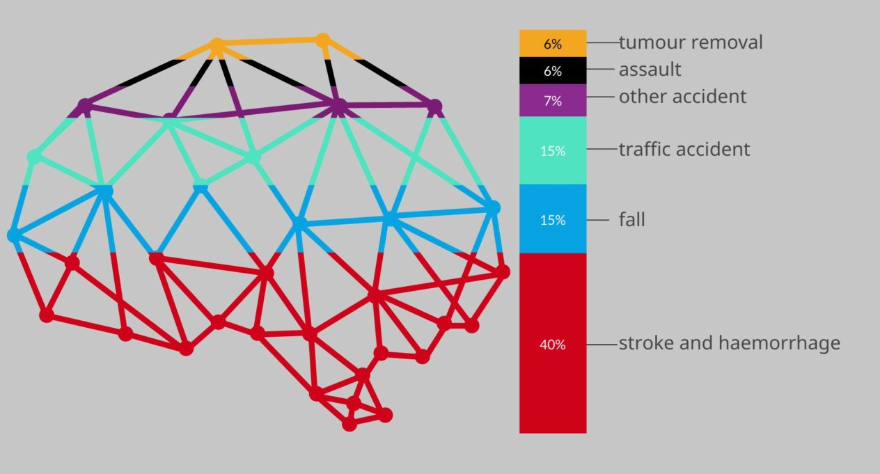 Graphic of brain and chart showing causes about brain injury