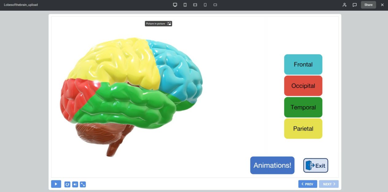 still from elearning module on lobes of the brain