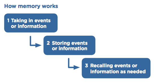 how memory works. 1. Taking in 2. Storing 3. Recalling